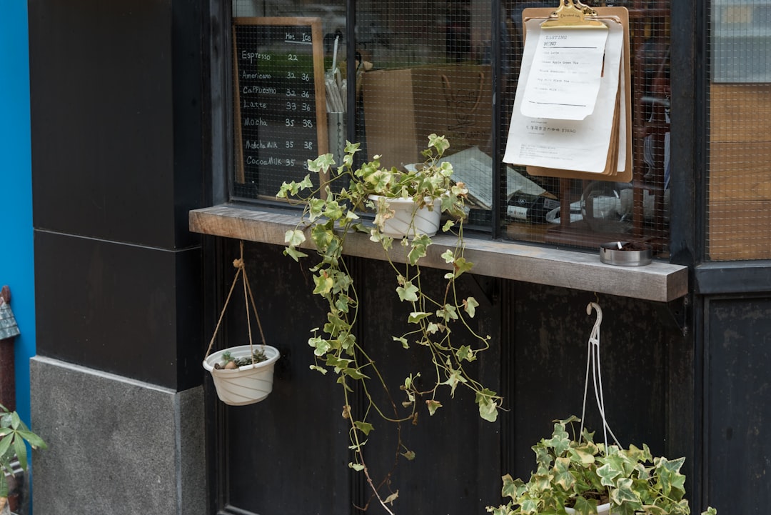 Najlepsze kawiarnie i restauracje w Świdniku – gdzie warto zjeść?